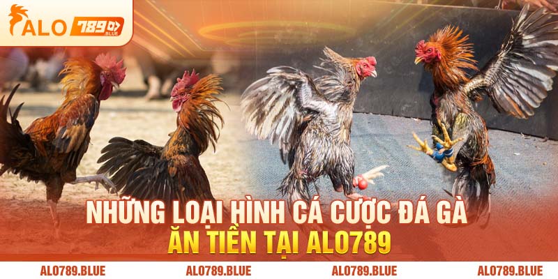 Những loại hình cá cược đá gà ăn tiền tại Alo789