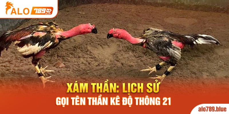 Xám Thần: Lịch Sử Gọi Tên Thần Kê Độ Thông 21 Trận Bất Bại