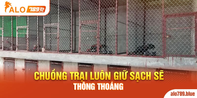 Chuồng trại luôn giữ sạch sẽ, thông thoáng