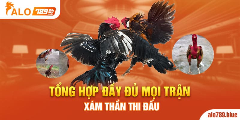 Tổng hợp đầy đủ mọi trận Xám Thần thi đấu  