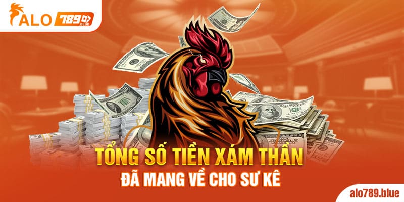 Tổng số tiền Xám Thần đã mang về cho sư kê