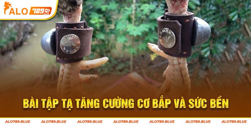 Bài tập tạ tăng cường cơ bắp và sức bền