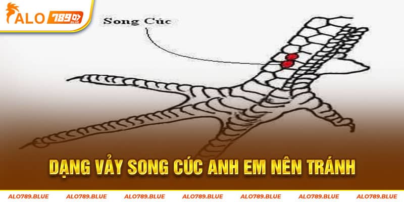 Dạng vảy song cúc anh em nên tránh