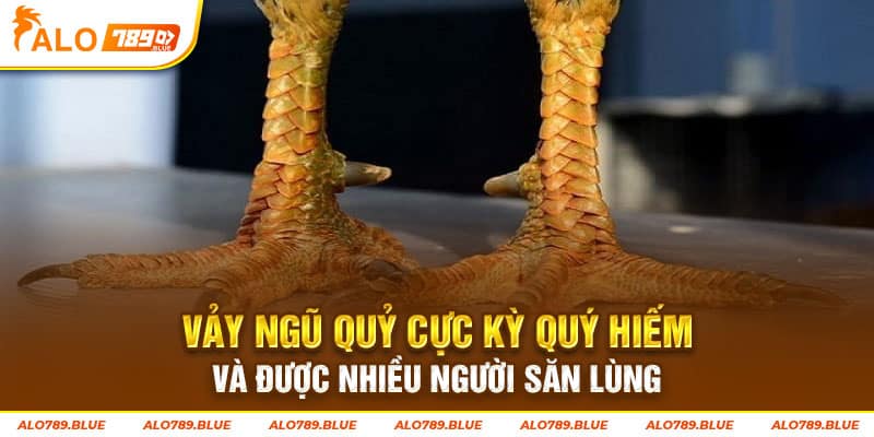 Vảy ngũ quỷ cực kỳ quý hiếm và được nhiều người săn lùng