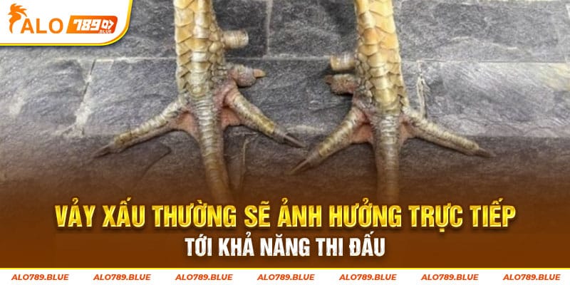 Vảy xấu thường sẽ ảnh hưởng trực tiếp tới khả năng thi đấu