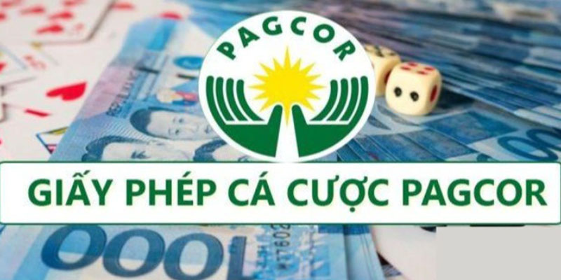 chứng chỉ pagcor